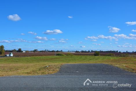 33 Everview Ct, Cobram, VIC 3644