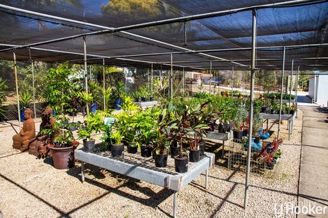 Property photo of 413 Oakey Flat Road Morayfield QLD 4506