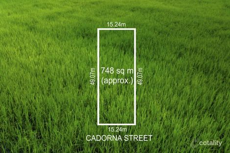 53 Cadorna St, Box Hill South, VIC 3128