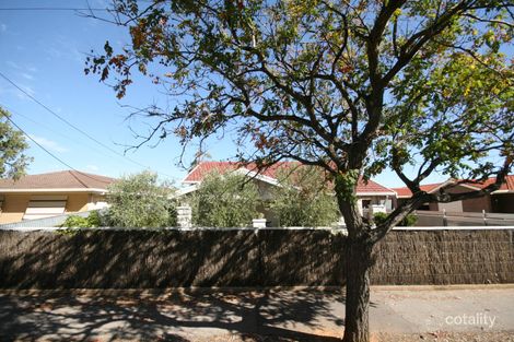 19 Ormond Ave, Daw Park, SA 5041