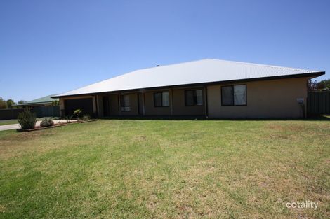 8 Echidna St, Cobar, NSW 2835