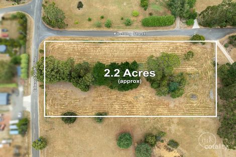 12 Koetong St, Kinglake, VIC 3763