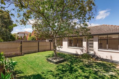 Property photo of 1/61 Park Road Glen Iris VIC 3146