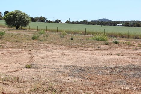 58 Wood Dr, Northam, WA 6401