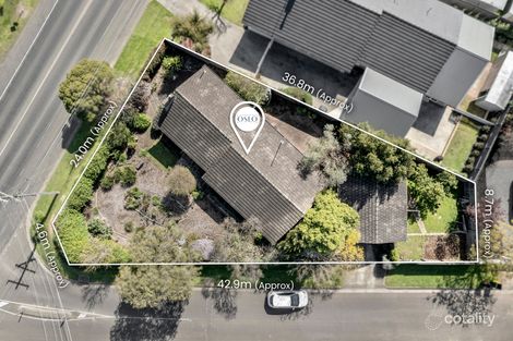 Property photo of 23 Barrabool Road Belmont VIC 3216