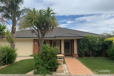 Property photo of 11 Norwich Drive Berwick VIC 3806