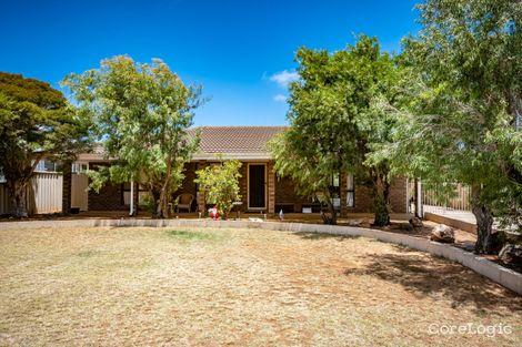 Property photo of 22 Pinyali Way Waggrakine WA 6530