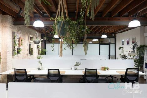 1/137-141 Bridge Rd, Glebe, NSW 2037