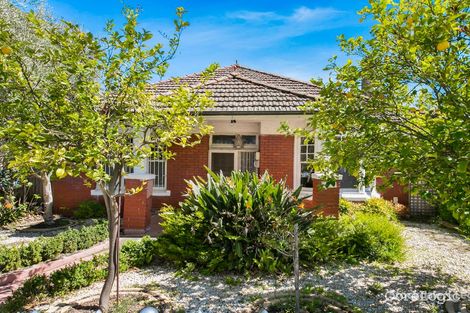 Property photo of 6 Dorothy Avenue Glen Huntly VIC 3163