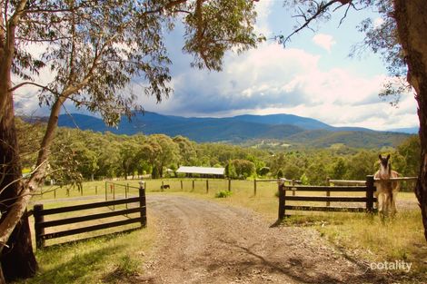 203 Ainsworth Ave, Chum Creek, VIC 3777