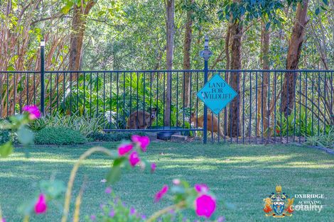 Property photo of 36-38 Buckingham Way Elanora QLD 4221