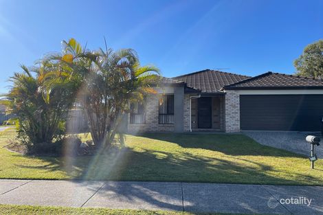 Property photo of 11 Buntine Avenue Morayfield QLD 4506