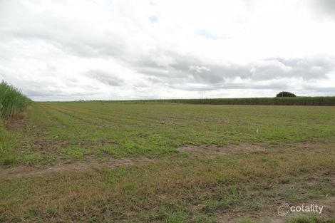 139 Dunnrock Rd, Chelona, QLD 4740