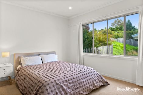 Property photo of 41 Tuckeroo Avenue Mullumbimby NSW 2482