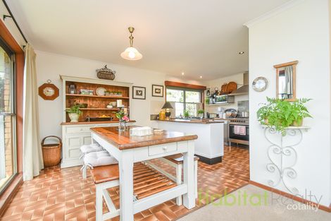 Property photo of 1 Southport Avenue Tamborine Mountain QLD 4272