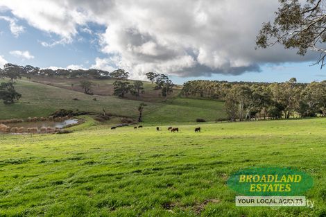 Property photo of 86 Nestor Road Macclesfield SA 5153