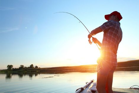 31/31 Sickle Ave, Hope Island, QLD 4212