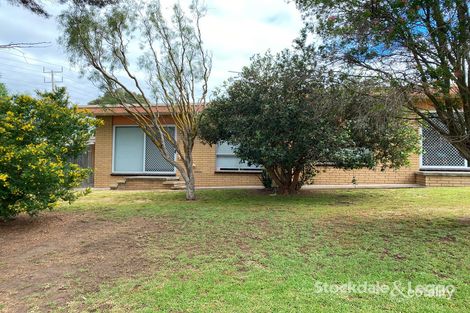 1/3-5 Wandana Dr, Wandana Heights, VIC 3216