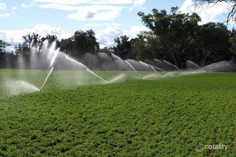 Property photo of 620 Back Woolomin Road Dungowan NSW 2340