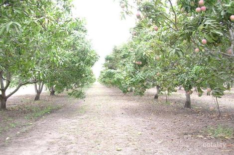 Property photo of 517 Hodel Road Giru QLD 4809