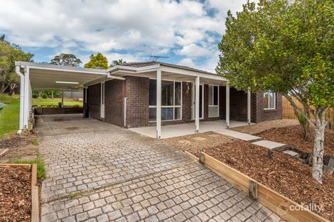 Property photo of 6 Brewster Court Petrie QLD 4502