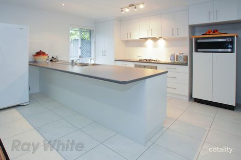Property photo of 79 Addison Road Camira QLD 4300