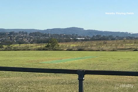 Property photo of 45 Rabaul Street Shortland NSW 2307