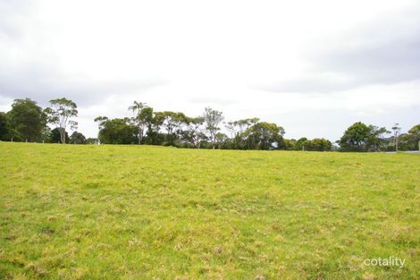 Property photo of 1399 Maleny-Stanley River Road Booroobin QLD 4552