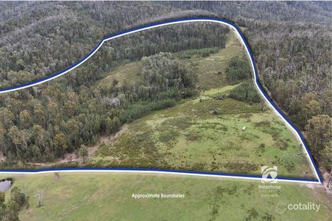 303 Basin Rd, Buchan, VIC 3885