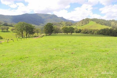 Property photo of 1593 Curricabark Road Dewitt NSW 2422