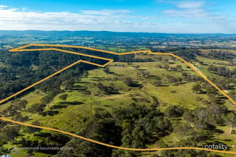 170 Peak Hill Rd, Buckajo, NSW 2550