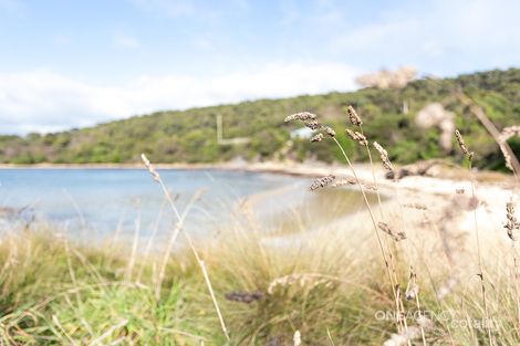 Property photo of 15 Cowrie Point Road Cowrie Point TAS 7321