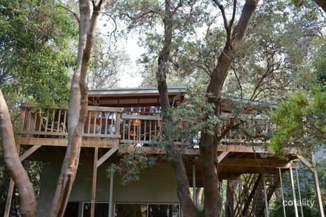 Property photo of 98 Silverleaves Avenue Silverleaves VIC 3922