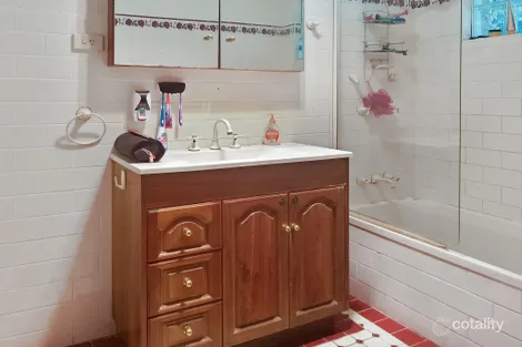 Property photo of 20 Netherton Avenue St Clair NSW 2759