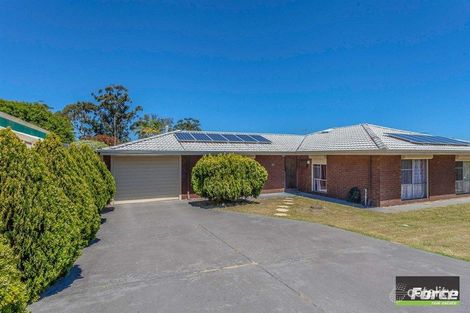 Property photo of 16 Celestine Street Wanneroo WA 6065