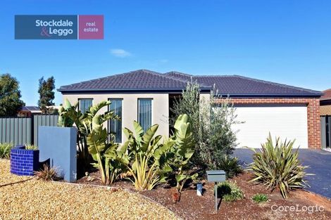 Property photo of 45 Hummingbird Boulevard Tarneit VIC 3029