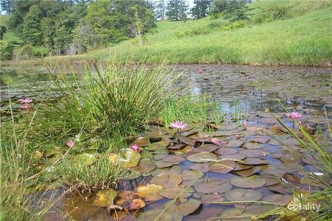 Property photo of 94 Ellinjaa Road Ellinjaa QLD 4886