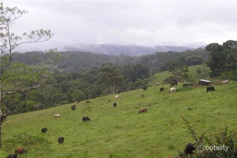 Property photo of 94 Ellinjaa Road Ellinjaa QLD 4886