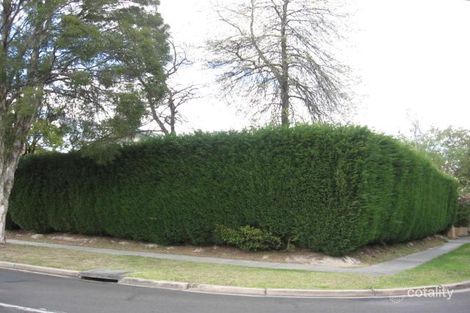 Property photo of 5A Shady Grove Nunawading VIC 3131