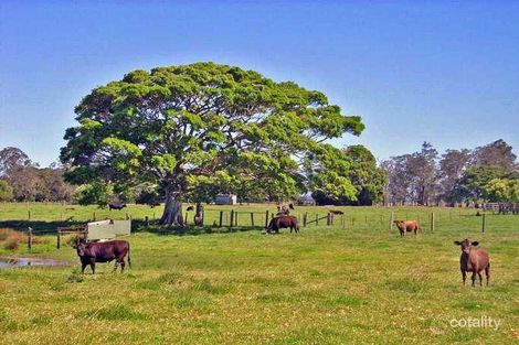 Property photo of 38 Plummers Lane Clybucca NSW 2440