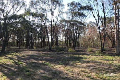 Property photo of 89-101 Lenihans Road Electra QLD 4670