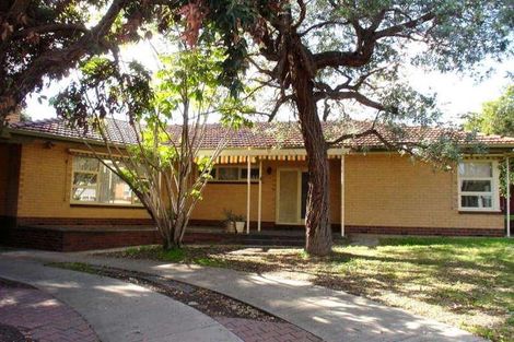 Property photo of 19 Gunther Parade Pasadena SA 5042