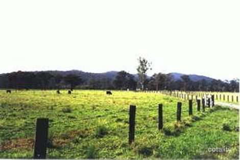 317 Carrowbrook Rd, Mount Olive, NSW 2330