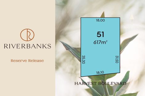 51 Harvest Bvd, Angle Vale, SA 5117