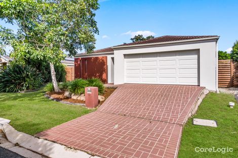 Property photo of 11 Cyperus Crescent Carseldine QLD 4034