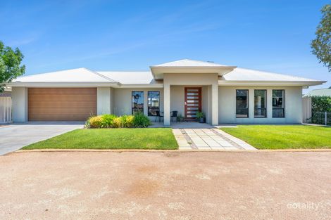 Property photo of 207 Ral Ral Avenue Renmark SA 5341