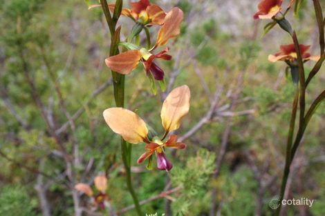 18 Summer Brce, Yallingup, WA 6282