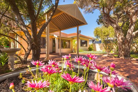 Property photo of 146 Herbert Street Doubleview WA 6018