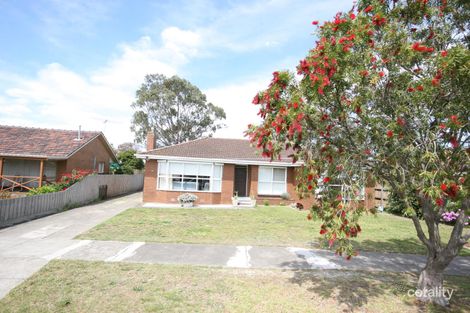 17 Olwen Ave, Belmont, VIC 3216