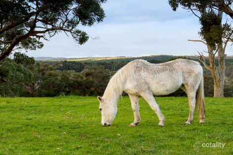 Property photo of 7 Tynan Road Kuitpo SA 5201